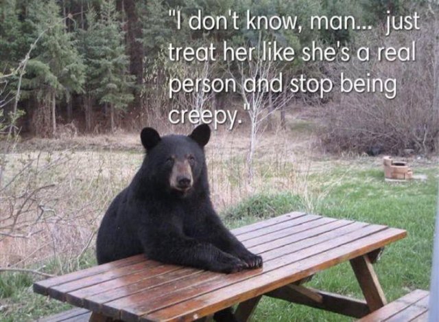 Bear: I don't know, man ... just treat her like she's a real person and stop being creepy